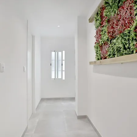 Lineros Apartament